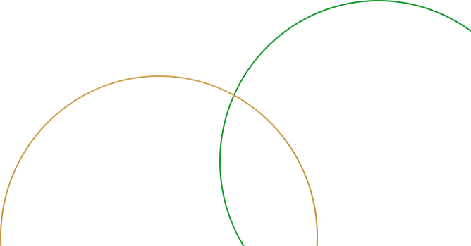 Program Image